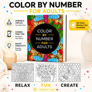 Color By Number Book thumbnail 4