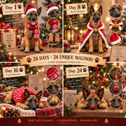 24 Days of Belgian Malinois Joy — 24 Unique Collectible Figurines thumbnail 5