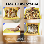 Extra Large Rat Glue Trap Pads thumbnail 10