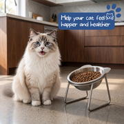Orthopedic Feeding Bowl for Cat thumbnail 1