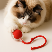 CatSprint thumbnail 1