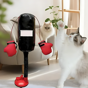 BoxPaw thumbnail 1