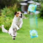PawOrb thumbnail 1