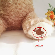 Peek-a-Boo Bear thumbnail 7
