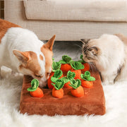 SniffingField thumbnail 1