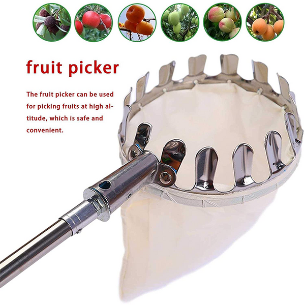 Fruit Picker with Collection Basket