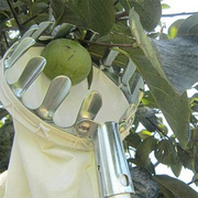 Fruit Picker with Collection Basket thumbnail 7