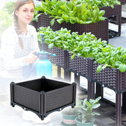 Multifunctional Planting Box – Grow Veggies & Herbs Easily thumbnail 9