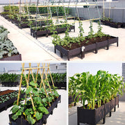 Multifunctional Planting Box – Grow Veggies & Herbs Easily thumbnail 11