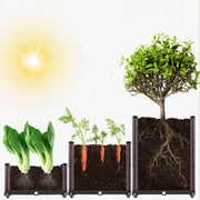 Multifunctional Planting Box – Grow Veggies & Herbs Easily thumbnail 18