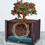 Multifunctional Planting Box – Grow Veggies & Herbs Easily thumbnail 12