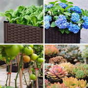 Multifunctional Planting Box – Grow Veggies & Herbs Easily thumbnail 15